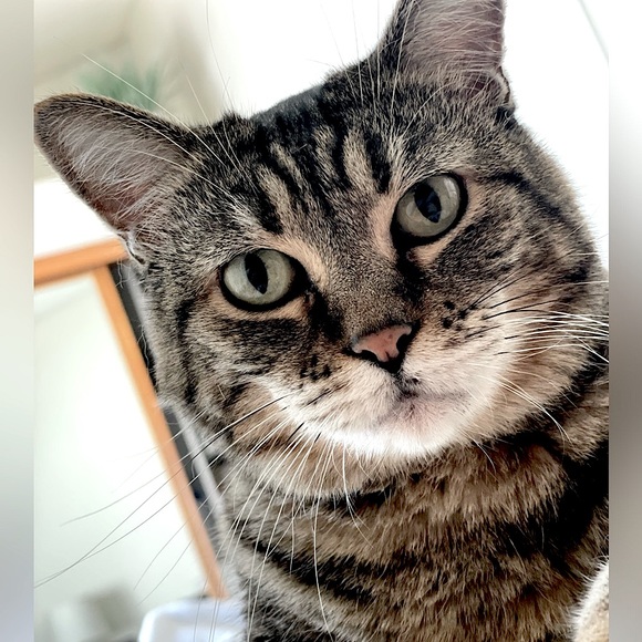 ✨JAYVEX IS LIVE✨: NOTIFICATION - Picture 5 of 13